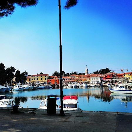 7 Palmi Novigrad Daire Novigrad Istria Dış mekan fotoğraf