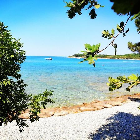 7 Palmi Novigrad Daire Novigrad Istria Dış mekan fotoğraf