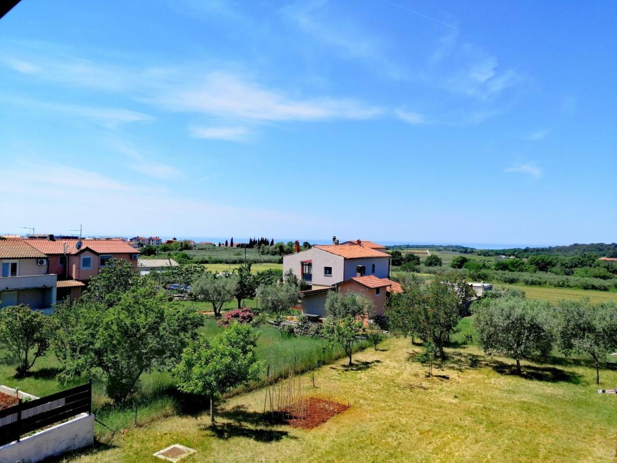 7 Palmi Novigrad Daire Novigrad Istria Dış mekan fotoğraf