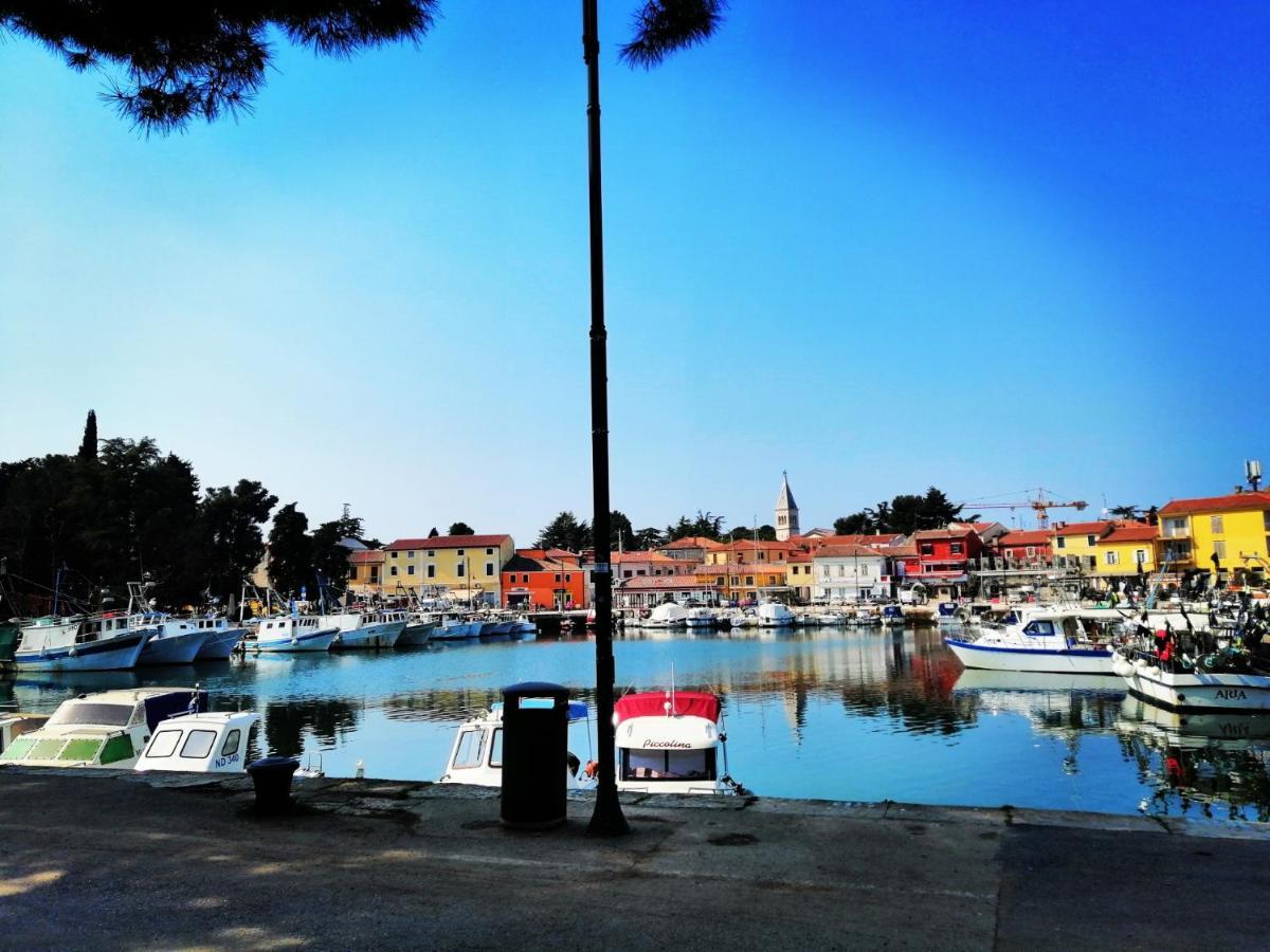 7 Palmi Novigrad Daire Novigrad Istria Dış mekan fotoğraf