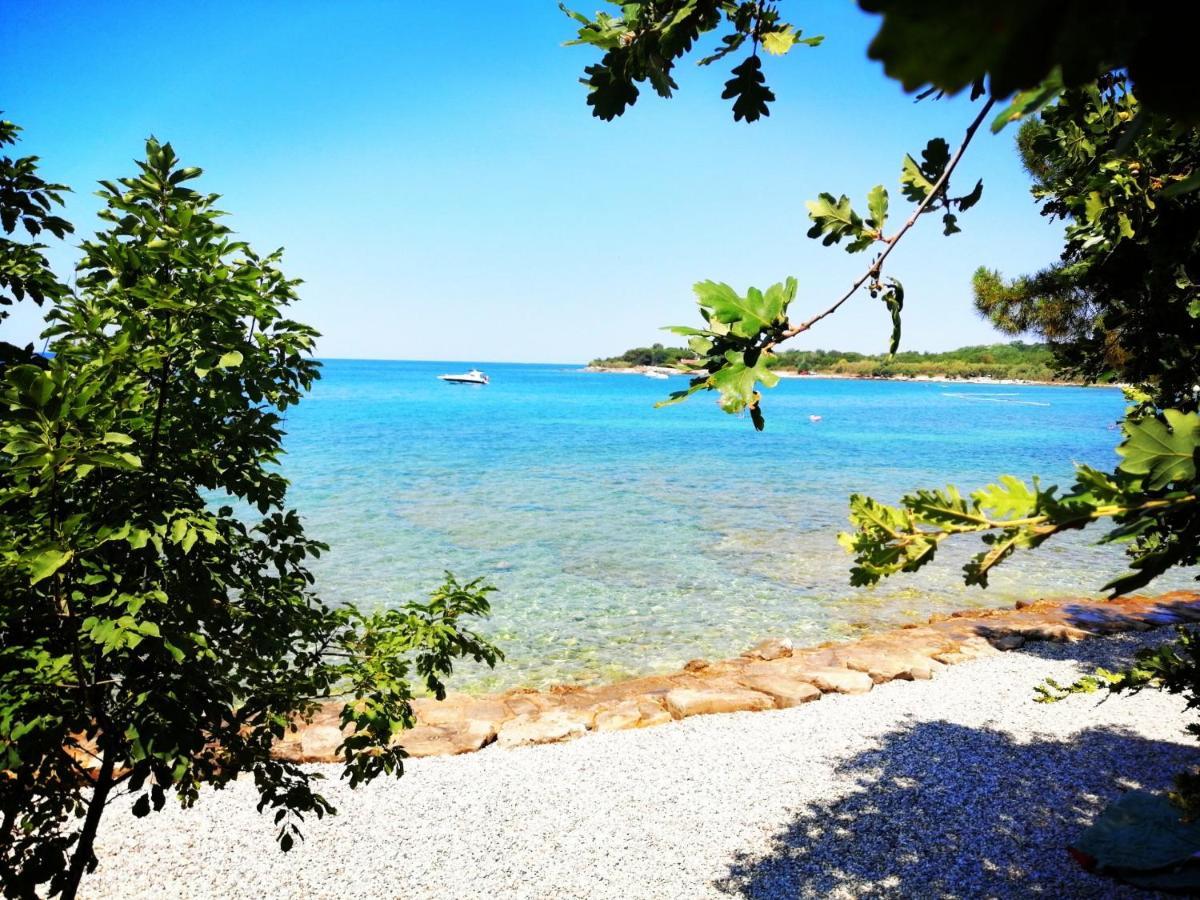 7 Palmi Novigrad Daire Novigrad Istria Dış mekan fotoğraf